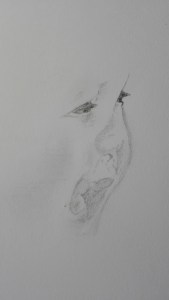 IMG_20171106_173804 2.jpg